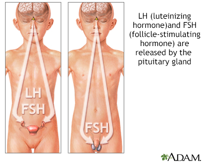 Pituitary hormones